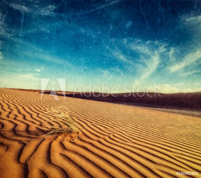 Picture of Dunes of Thar Desert Rajasthan India